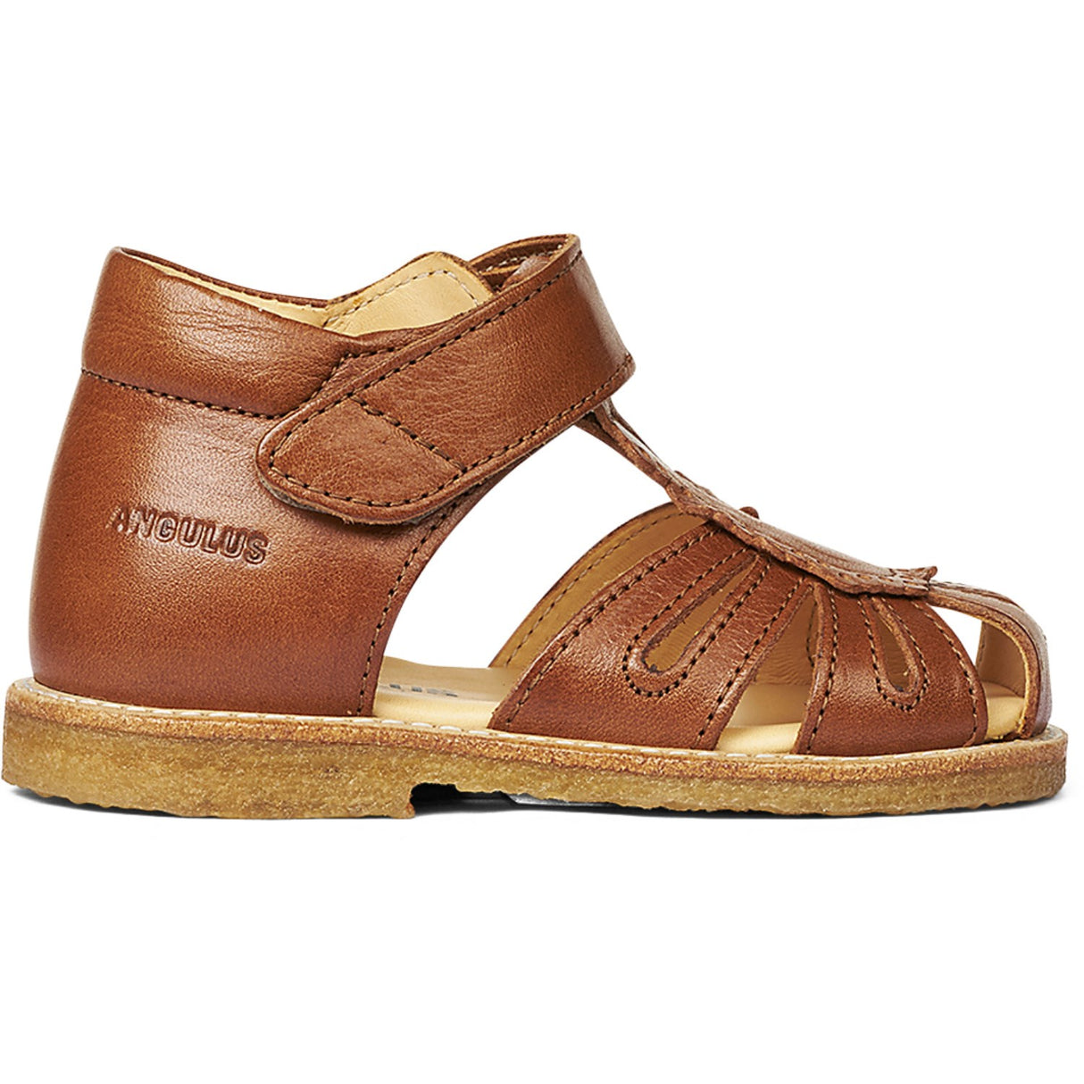 Angulus Begyndersandal M. Velcrolukning Cognac