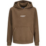 Jack & Jones Junior Cocoa Jjesoho Sweat Hætte Noos Jnr