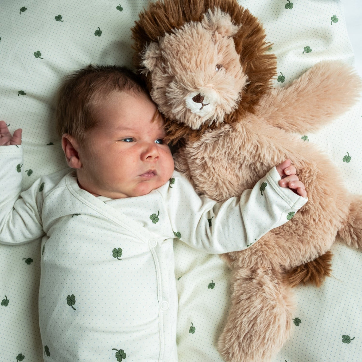 That's Mine Lion Houston Heavy Bamse Small