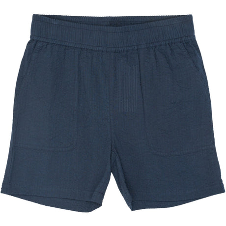 The New Navy Blazer Tntim Shorts