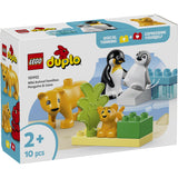 LEGO® DUPLO Town - Vilde Dyrefamilier: Pingviner Og Løver 10442