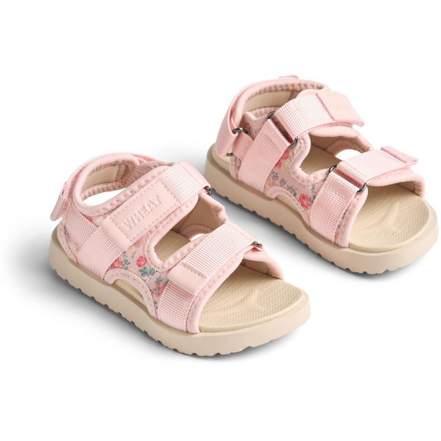 Wheat Powder Flowers And Seashells Sandal Mandy