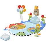 Fisher-Price® Nyfødt Spark & Sving Gym