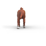 Schleich Engelsk Fuldblodshingst