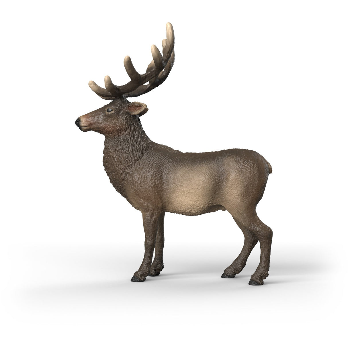 Schleich Elg