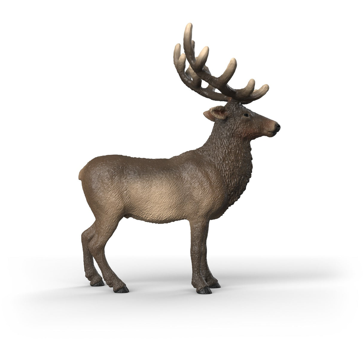 Schleich Elg