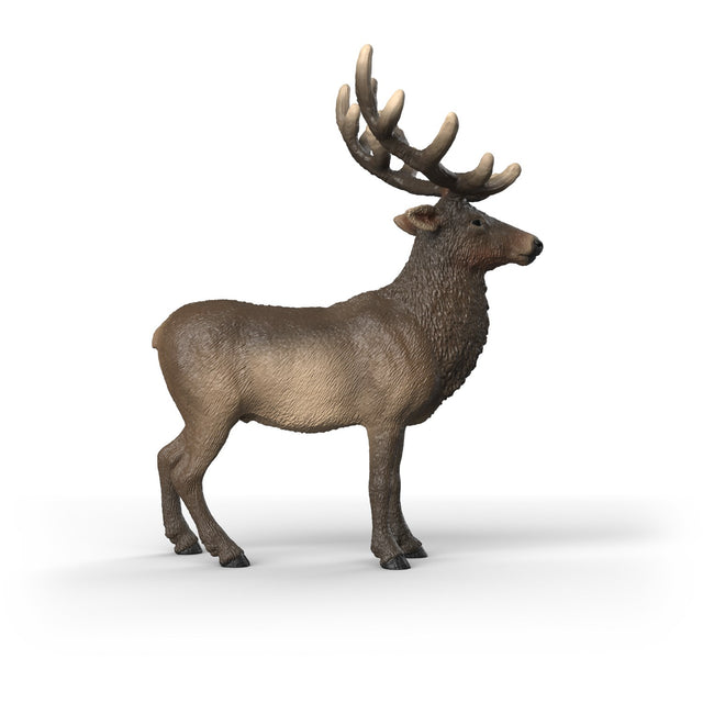Schleich Elg