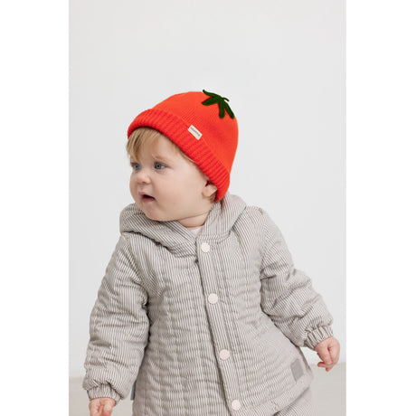 MarMar Cotton Knit Plain Tomato Atlas Tomato Hue