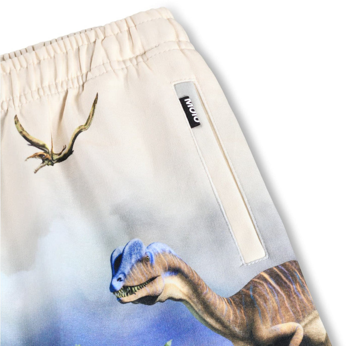 Molo Hot Spring Dinos Amil Shorts