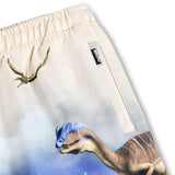Molo Hot Spring Dinos Amil Shorts