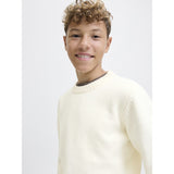 Jack & Jones Junior Sea Salt Jornorrebro Strik Crew Neck Ln Jnr