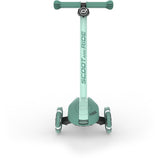 Scoot and Ride Forest Highwaykick 3S