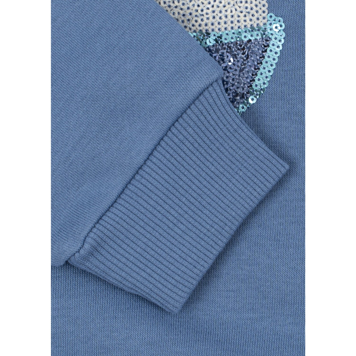 Konges Sløjd Colony Blue Loumilla Sweatshirt Ocs