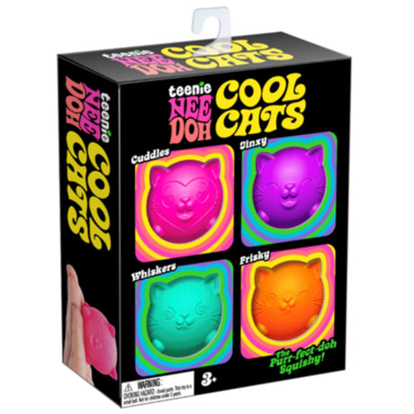 NeeDoh Teenie Cool Cats 4 -Pack CDU