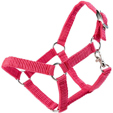 My Hobby Horse Pink Grime Til Kæphest