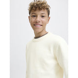 Jack & Jones Junior Sea Salt Jornorrebro Strik Crew Neck Ln Jnr