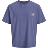 Jack & Jones Junior Crown Blue Jornorrebro Typo T-Shirt Ss Crew Neck Sn Jnr