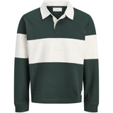 Jack & Jones Junior Pine Grove Jorfrederiksberg Blocking Sweat Polo Jnr