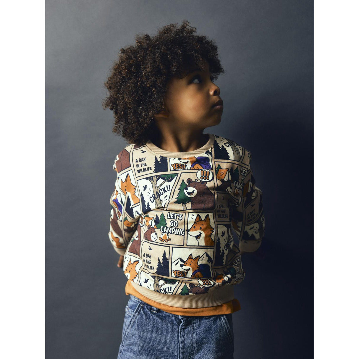 Name It Sesame Nmmoswaldy Ls Nreg Sweat Bru Æske