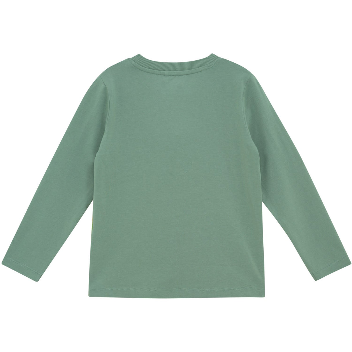 Minymo Lily Pad T-Shirt L/S
