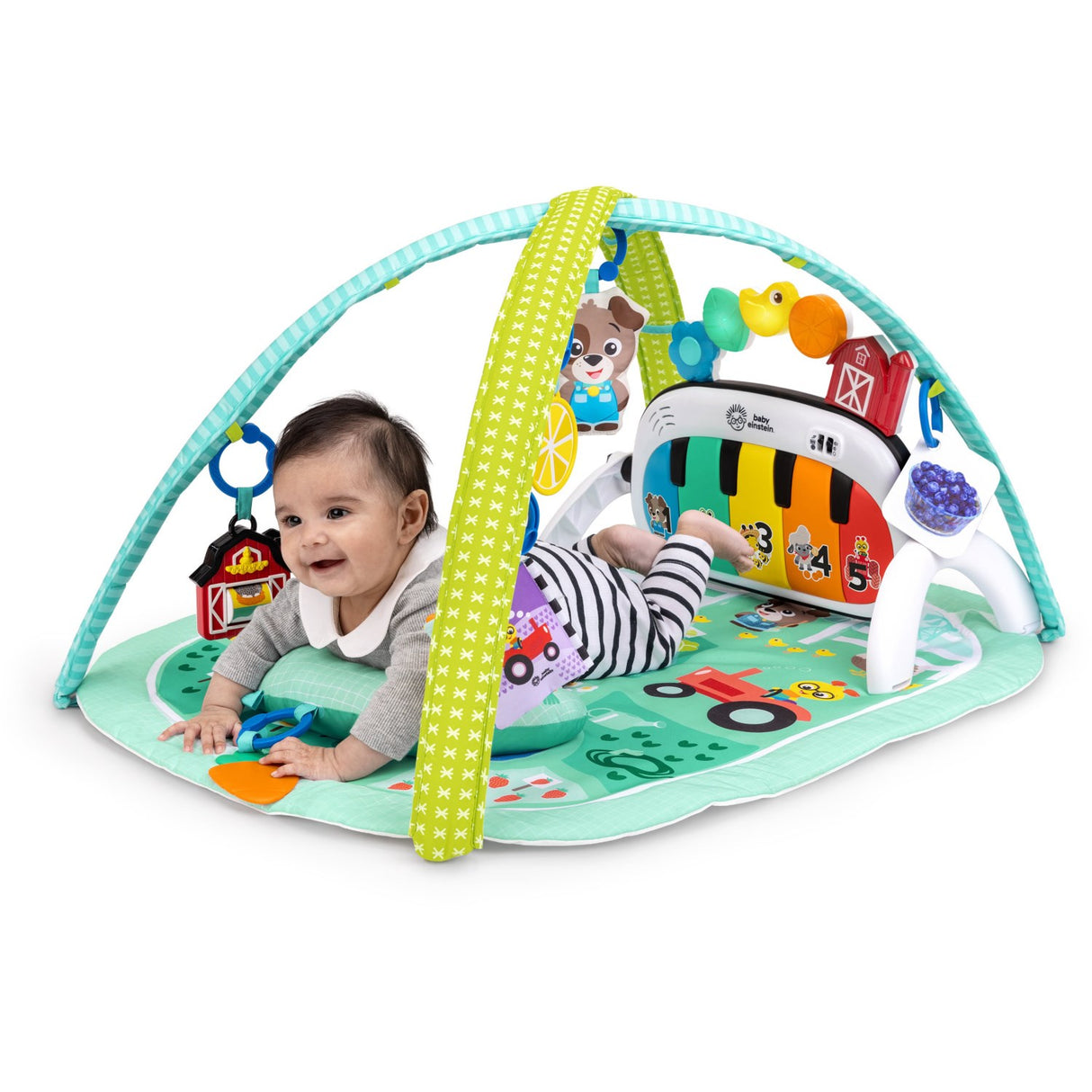 Baby Einstein 4-in-1 Kickin’ Tunes™ Musical Meadow™ Musik & Language Discovery Gym