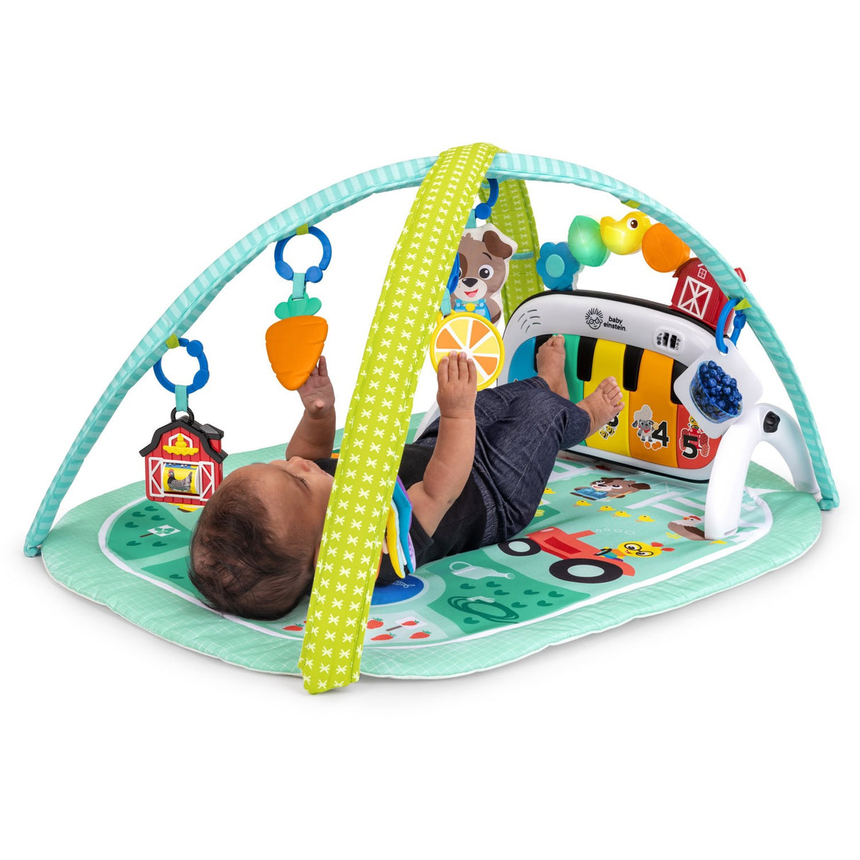 Baby Einstein 4-in-1 Kickin’ Tunes™ Musical Meadow™ Musik & Language Discovery Gym
