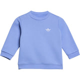 adidas Originals Blue Fusion Crew Bukser Sæt