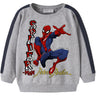 Name It Grey Melange Nmmolindo Spider Nreg Sweat Bru Mar