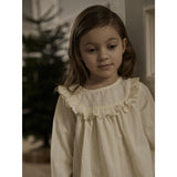 Lil'Atelier Turtledove Nmfrosea Ls Loose Skjorte Lil