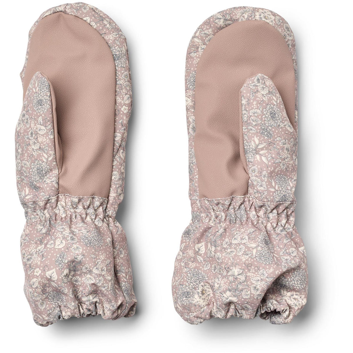 Wheat Dry Rose Flowers Vanter Monta