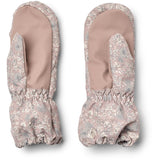 Wheat Dry Rose Flowers Vanter Monta