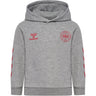 Hummel Grey Melange Jr Reg Dbu Hættetrøje