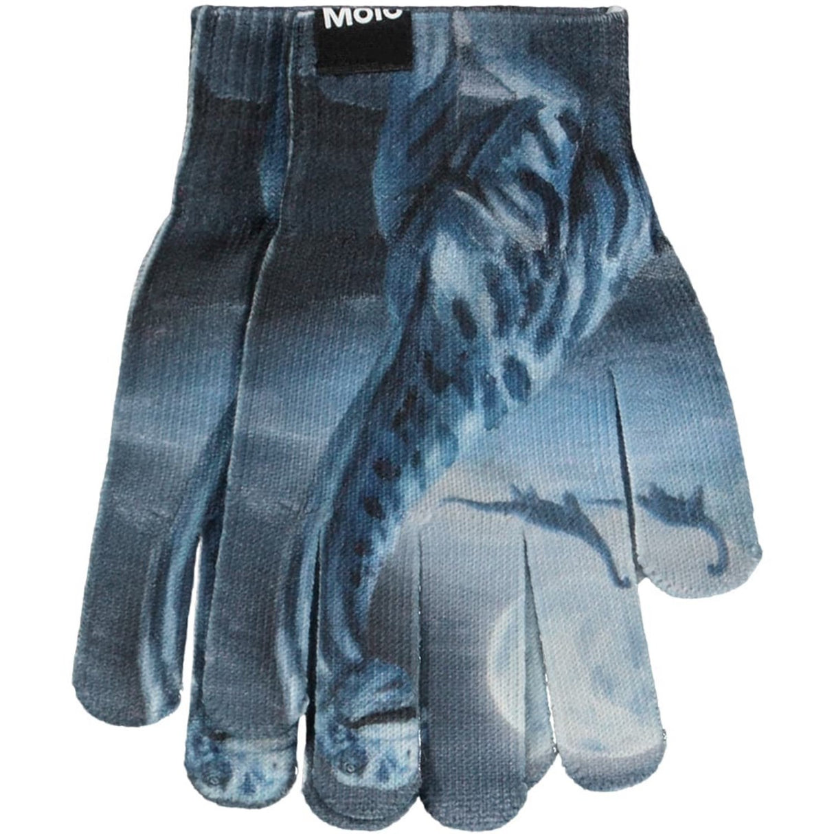 Molo Arty Dinos Kaya Outerwear Sæt