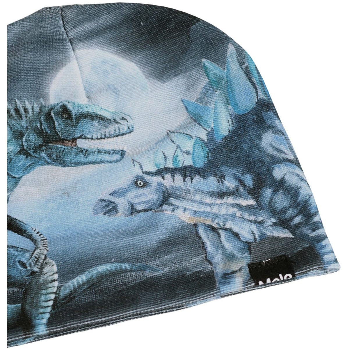 Molo Arty Dinos Kaya Outerwear Sæt