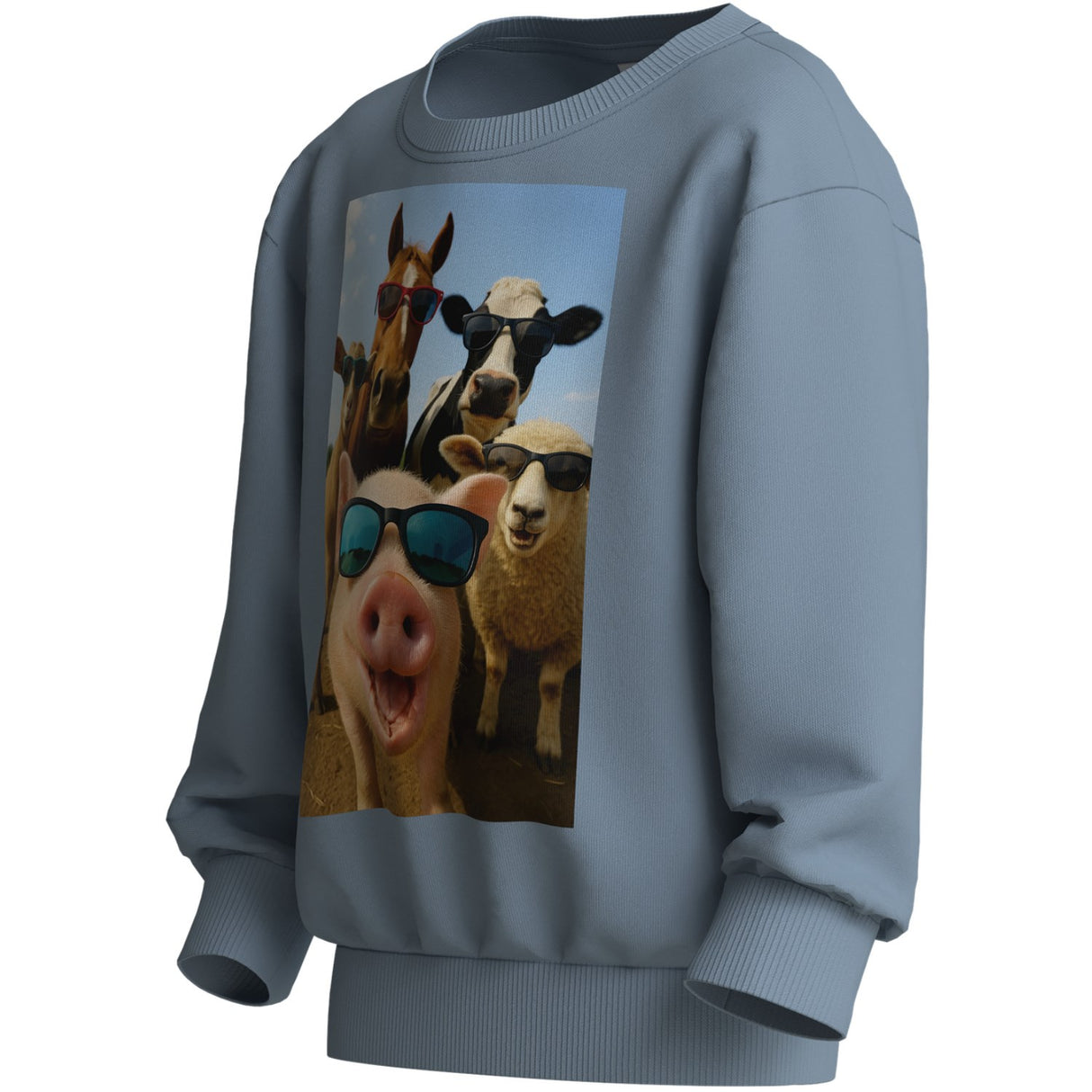 Name It Ashley Blue Farm Animals Nmmvoto Ls Nreg Sweat Unb