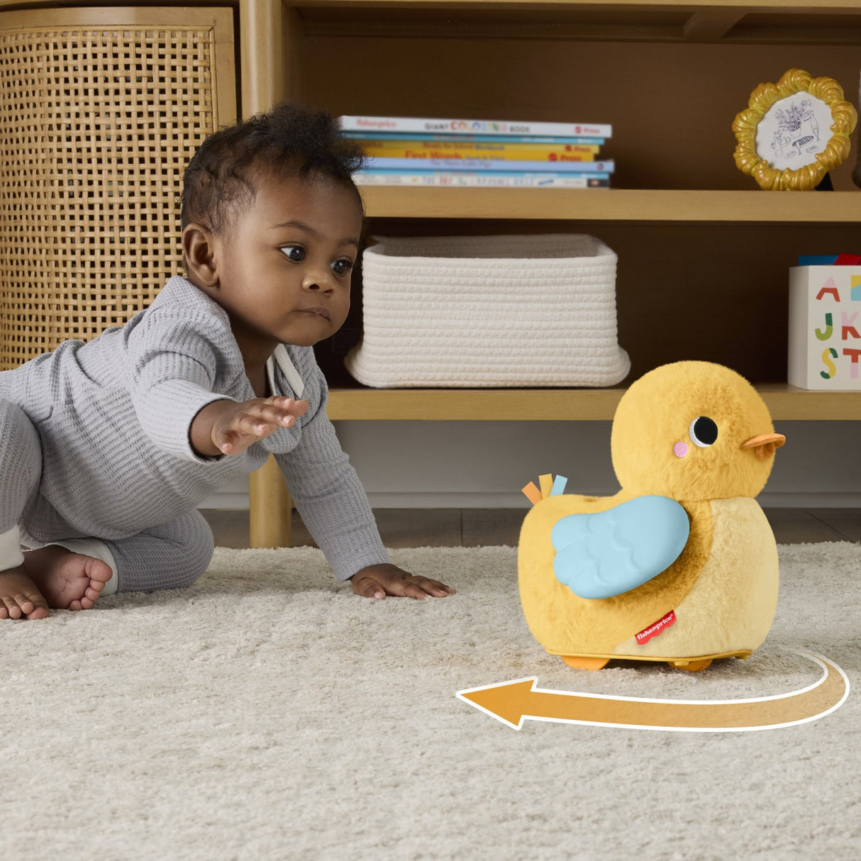 Fisher-Price® Flap & Follow And
