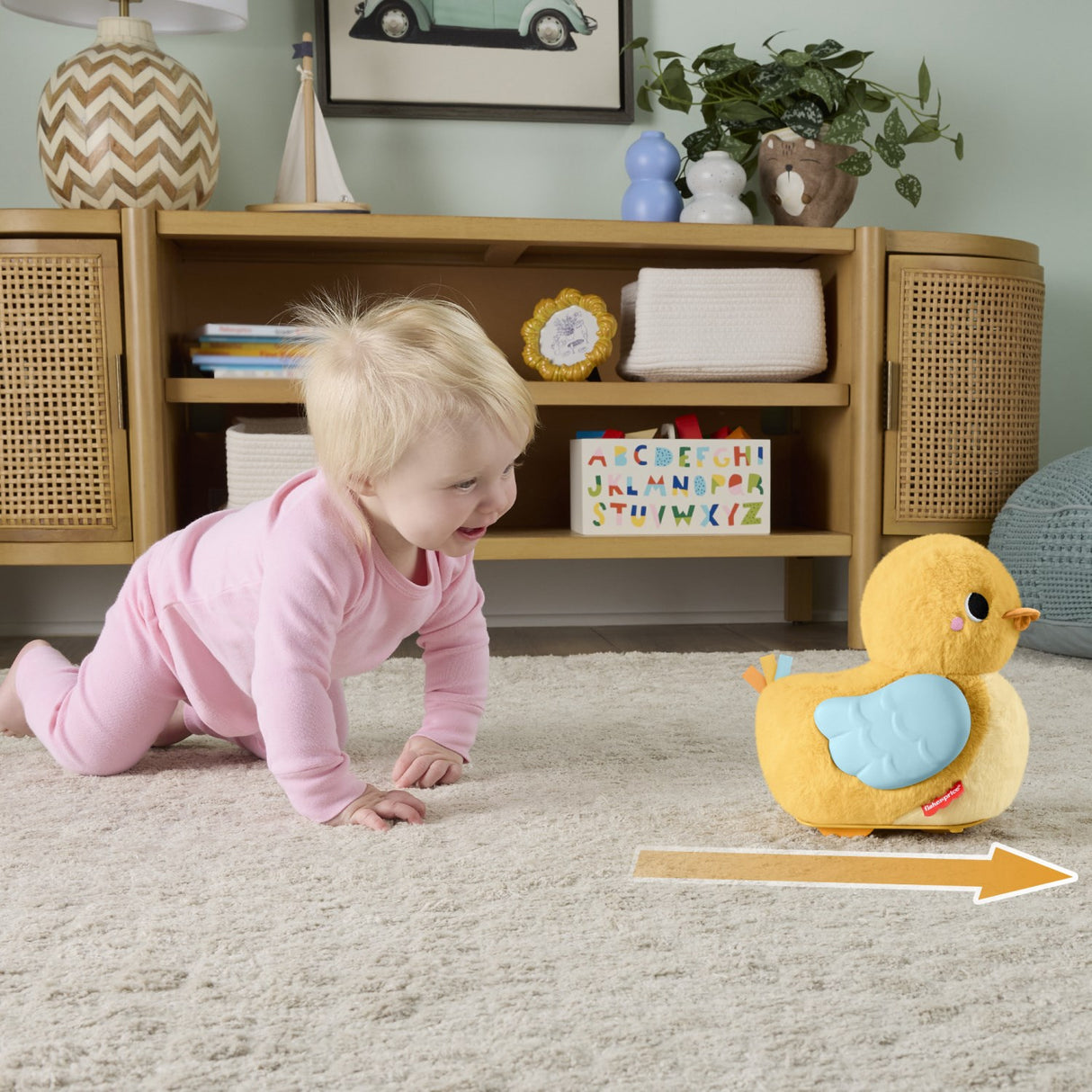 Fisher-Price® Flap & Follow And