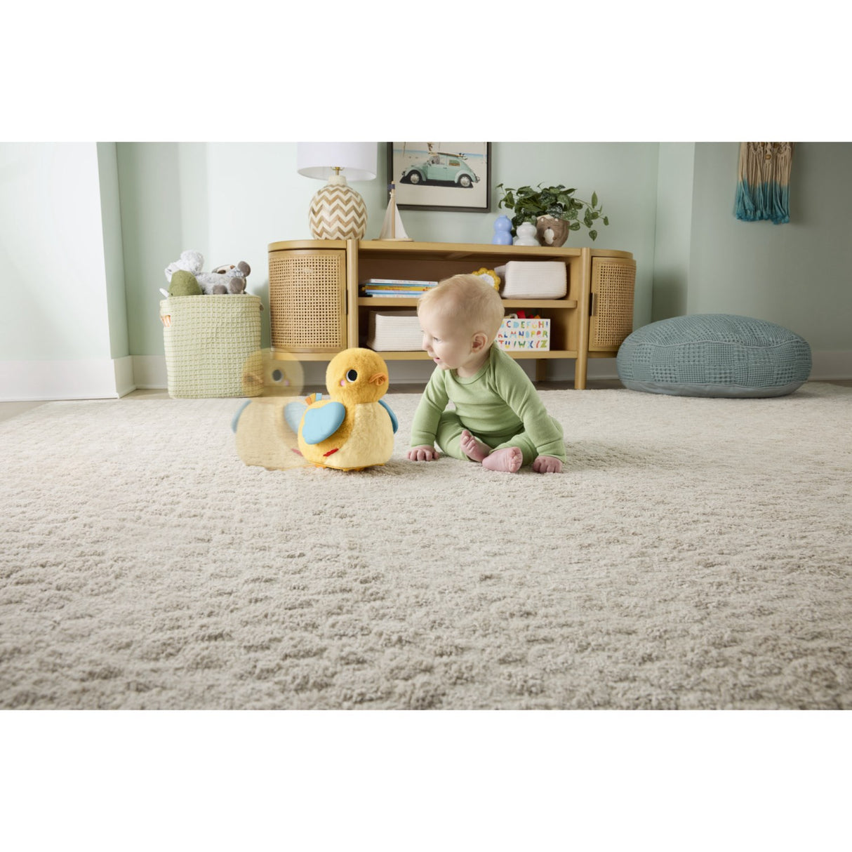 Fisher-Price® Flap & Follow And
