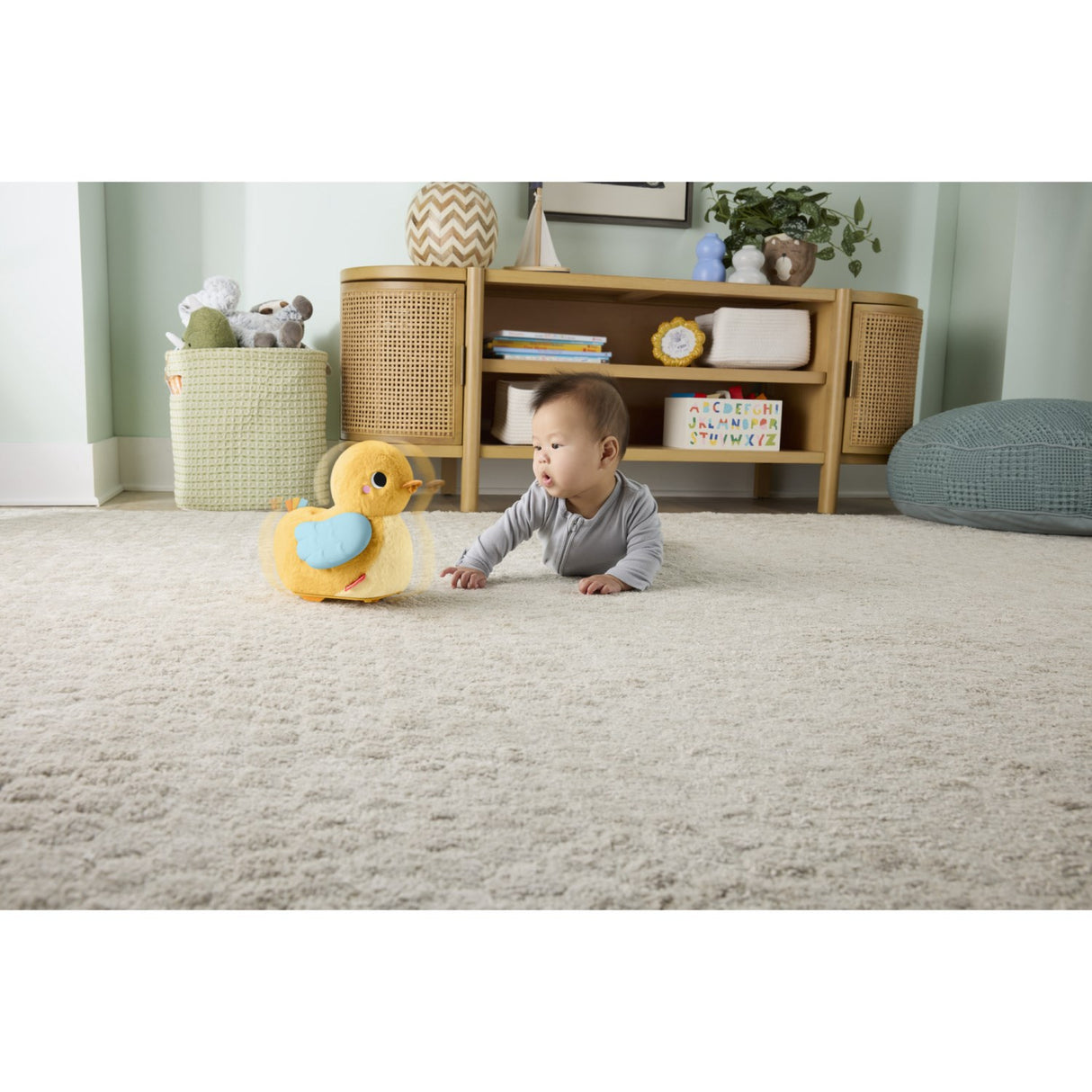 Fisher-Price® Flap & Follow And