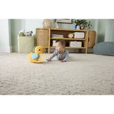 Fisher-Price® Flap & Follow And