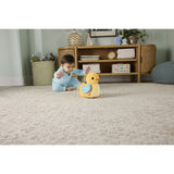 Fisher-Price® Flap & Follow And
