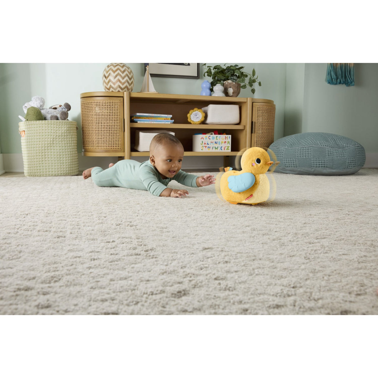 Fisher-Price® Flap & Follow And