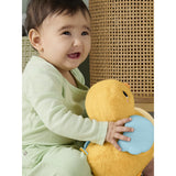Fisher-Price® Flap & Follow And
