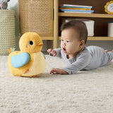 Fisher-Price® Flap & Follow And