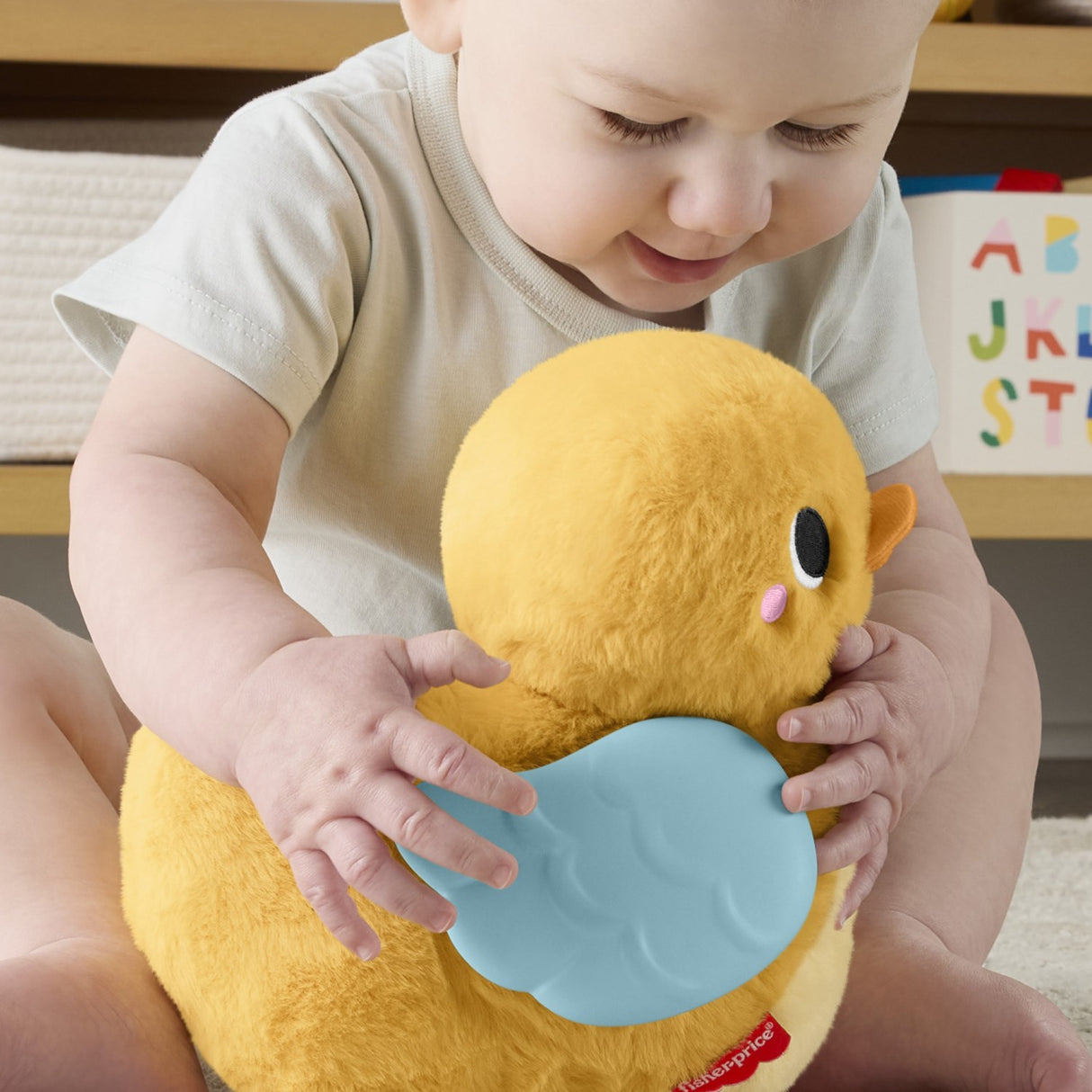 Fisher-Price® Flap & Follow And