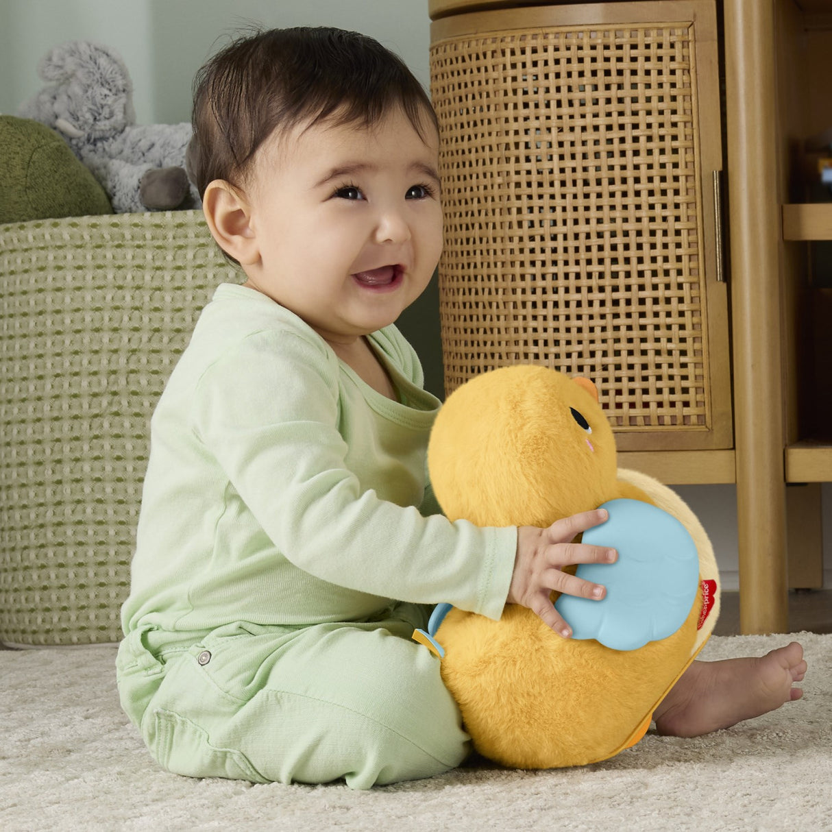 Fisher-Price® Flap & Follow And