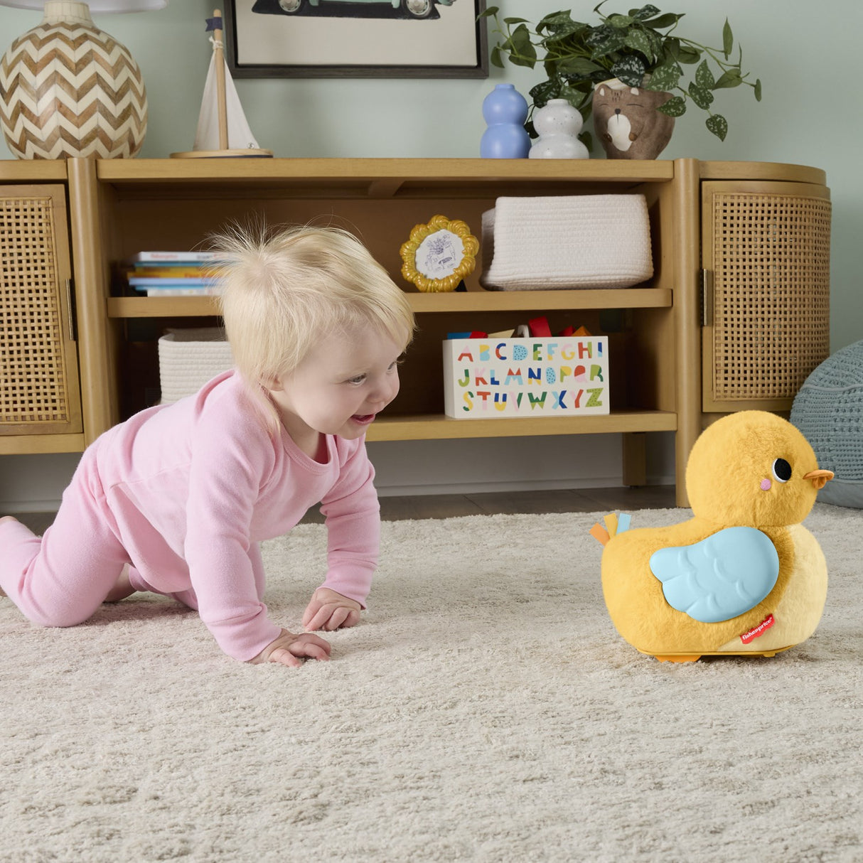 Fisher-Price® Flap & Follow And
