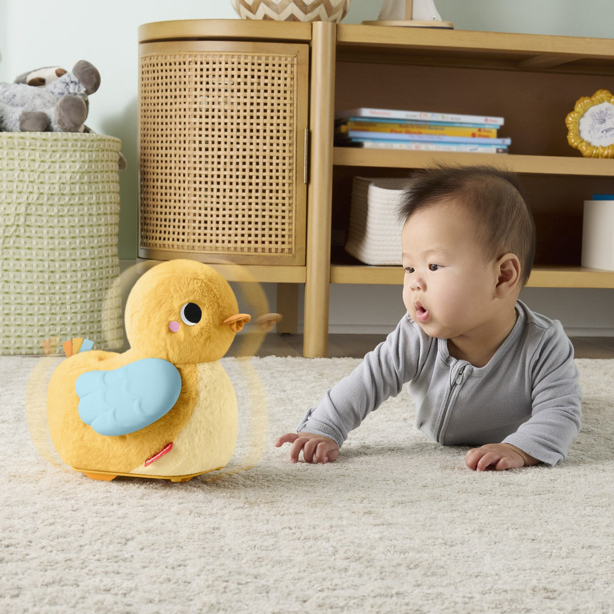 Fisher-Price® Flap & Follow And