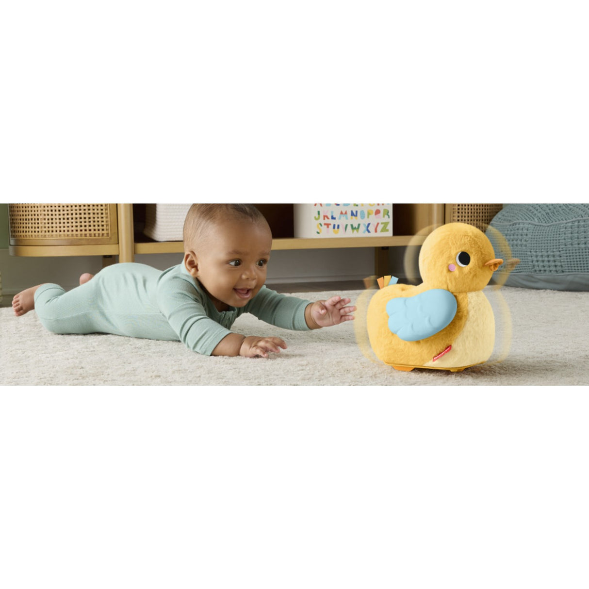 Fisher-Price® Flap & Follow And