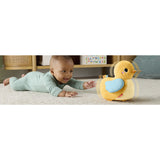 Fisher-Price® Flap & Follow And